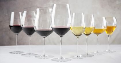 various wine glasses lined up